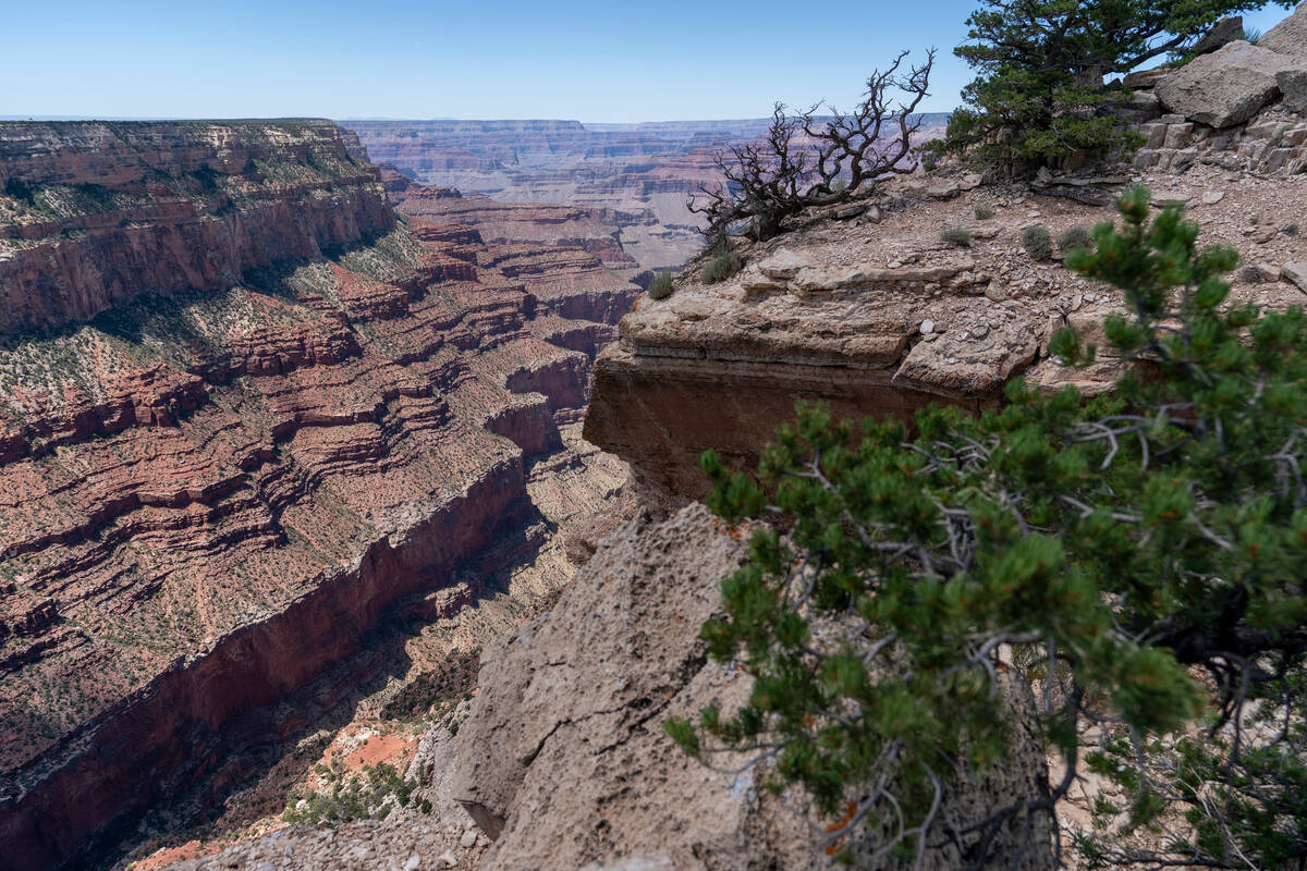 The South Rim of Grand Canyon National Park is seen in Grand Canyon Village, Ariz., Aug. 8, 202 ...