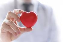 “Magnesium is a vital mineral that helps maintain a regular heart rhythm by regulating e ...