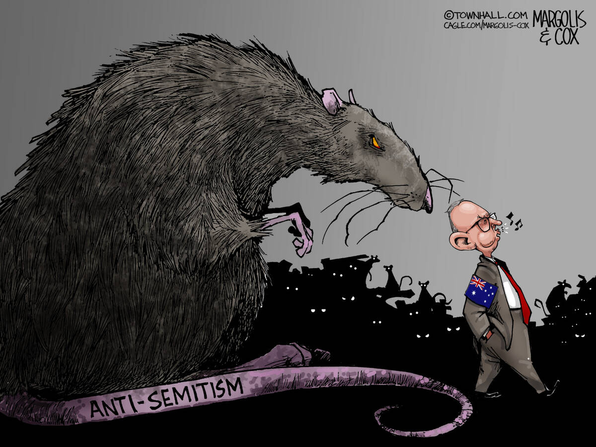 Margolis & Cox PoliticalCartoons.com