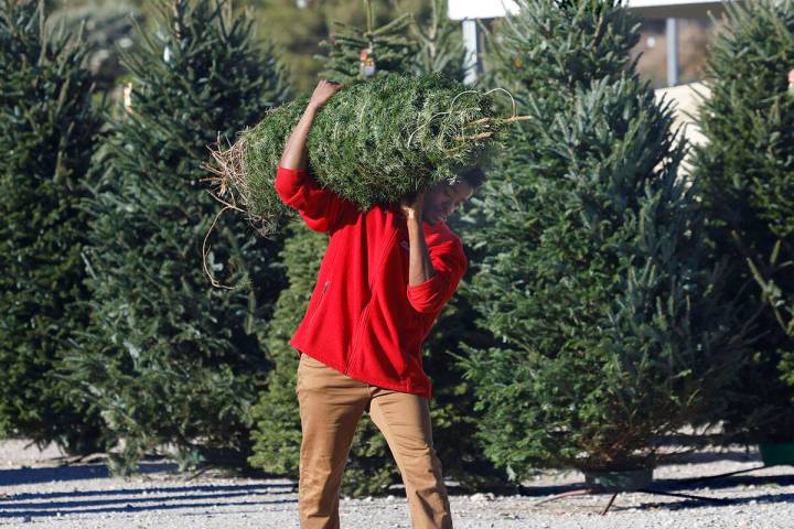 Chad Viola, a worker at Rudolph's Christmas Trees, carries a customer's tree on Monda ...