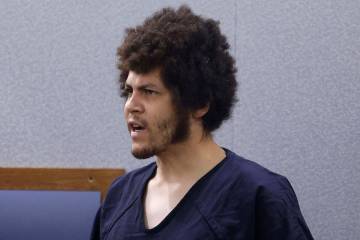 Adrian Bailey, who is accused of killing his mother and father last Saturday, addresses the cou ...