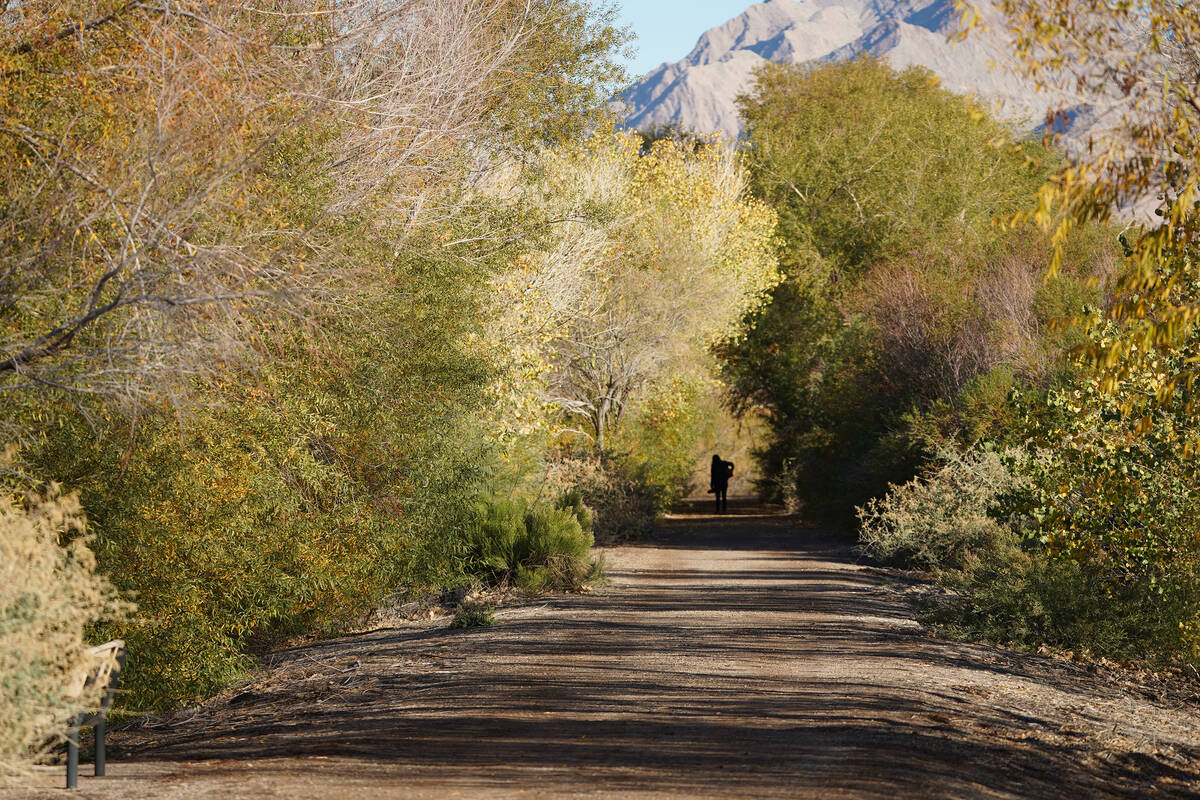 A Henderson Bird Viewing Preserve visitor, carrying photography equipment, walks under a canopy ...