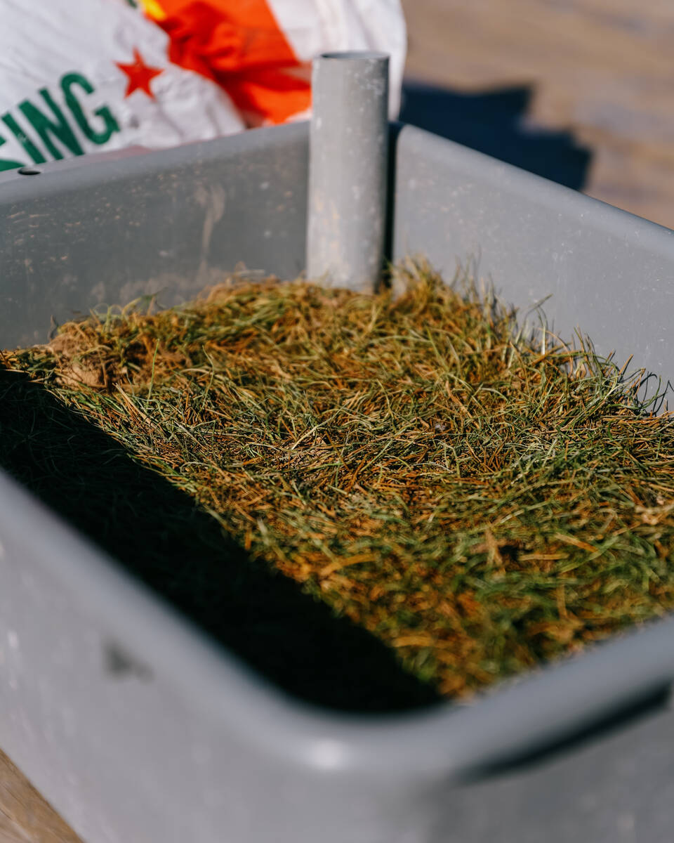 One of several “cat cooling centers” created by James Mah sits on his property on Thursday, ...