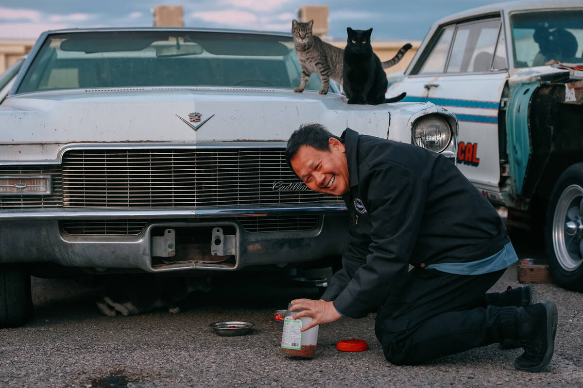 James Mah looks up from feeding the stray cats on his property on Thursday, Jan. 8, 2026, along ...
