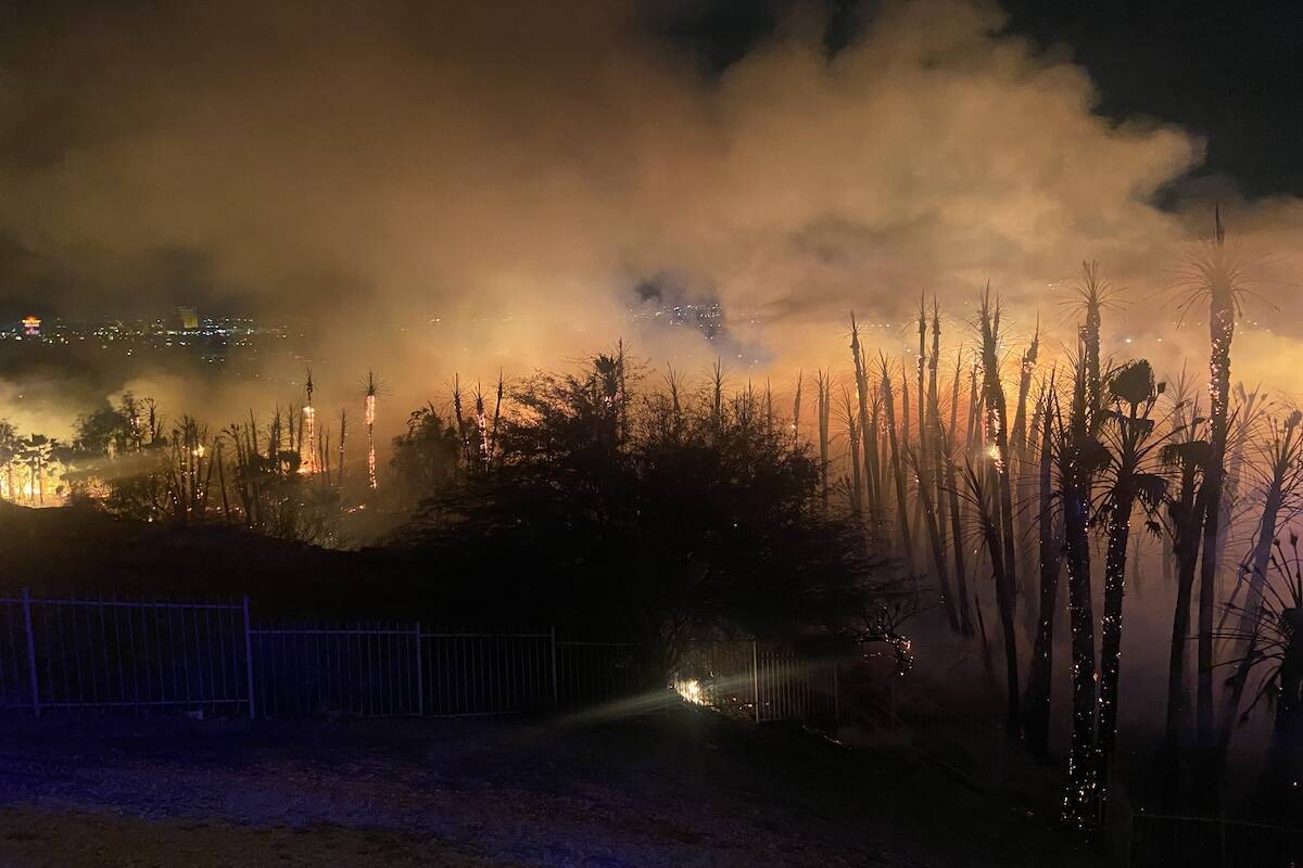 Crews from the Henderson Fire Department responded to a two-alarm outdoor fire early Wednesday ...