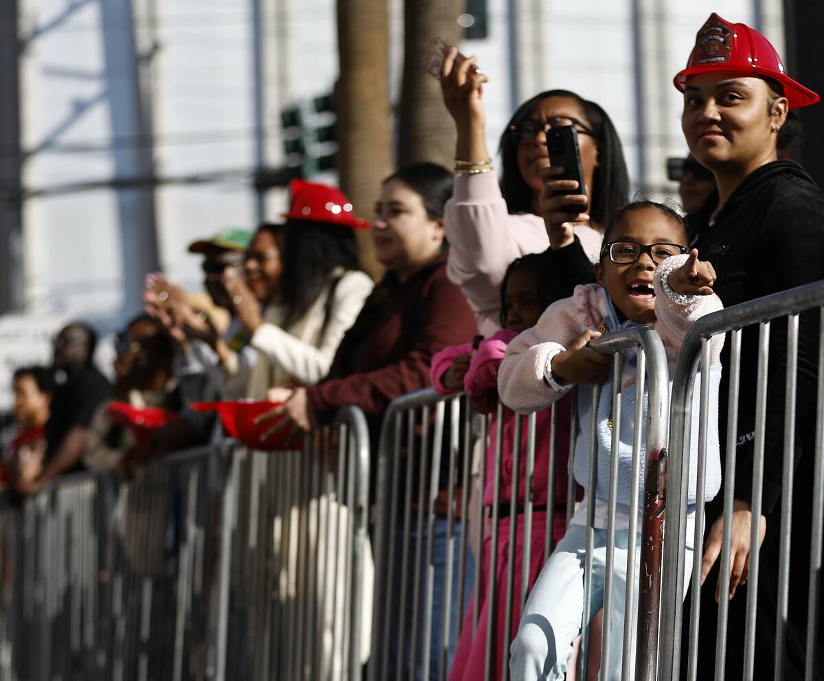 Attendees watch as the Dr. Martin Luther King Jr. parade makes its way down 4th Street Monday J ...