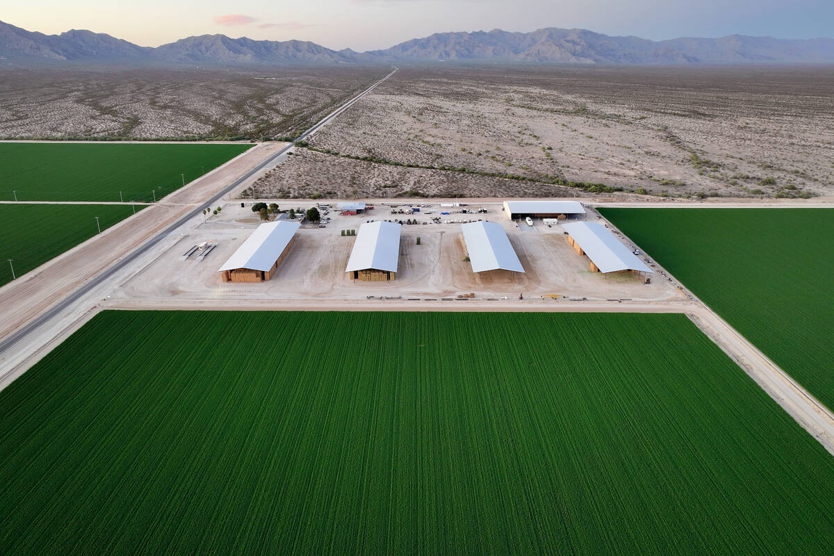 Bales of hay are stored under shelters at Al Dahra Farms on Oct. 17, 2023, in the McMullen Vall ...