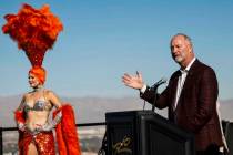 Steve Hill, CEO and President of the Las Vegas Convention and Visitors Authority, provides deta ...