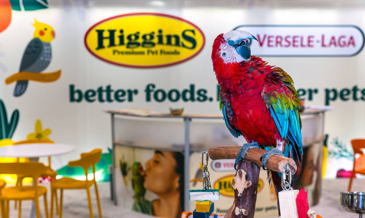 Red, a green-winged macaw, greets people visiting the Higgins Premium Pet Foods display during ...