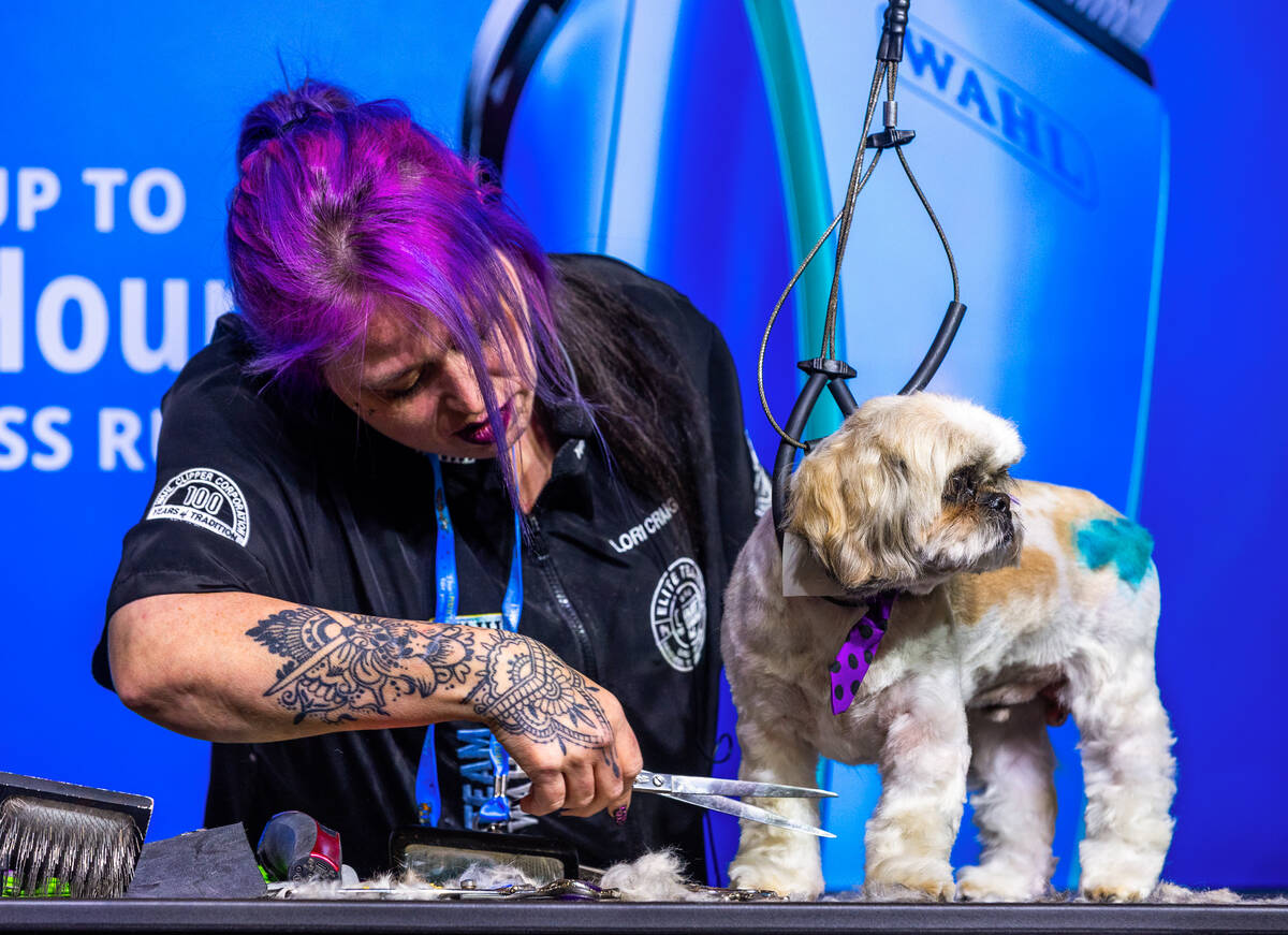 Wahl Clipper groomer Lori Craig demonstrates some of Wahl Clipper’s products on stage du ...