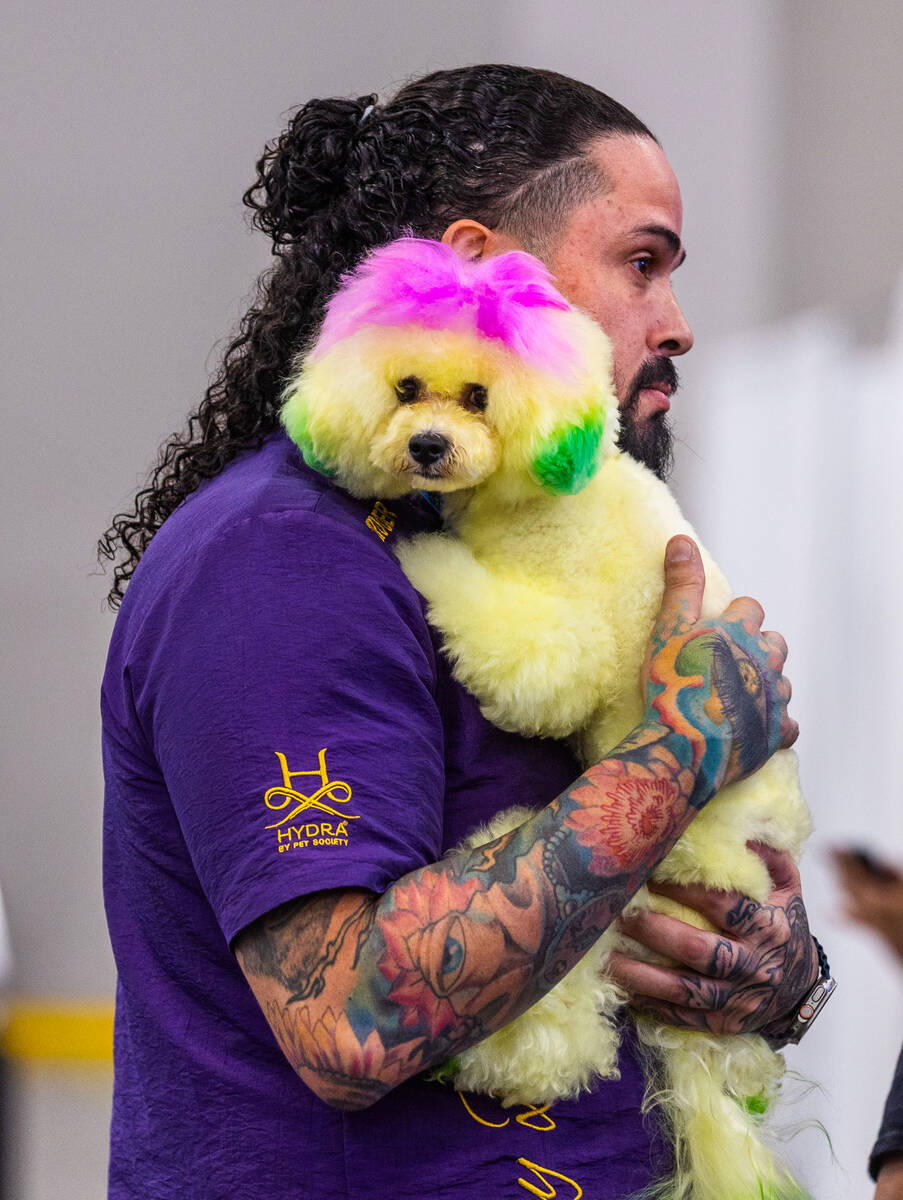 Jay Batista holds a friend's dog Sera as he gives a talk on dog grooming during SUPERZOO a ...