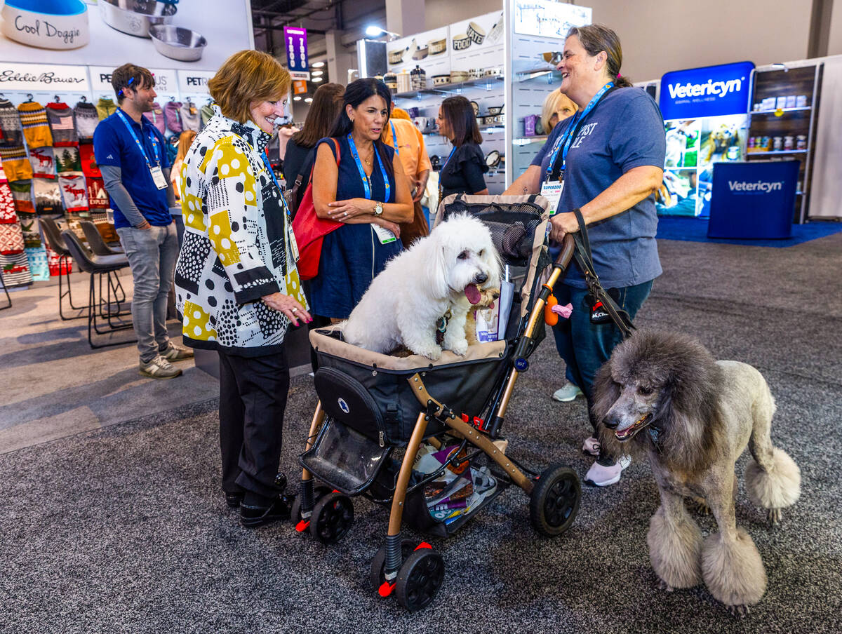 Jacqueline Hernandez stops to show off her dogs Teddy, Angelo and Maggie during SUPERZOO at the ...