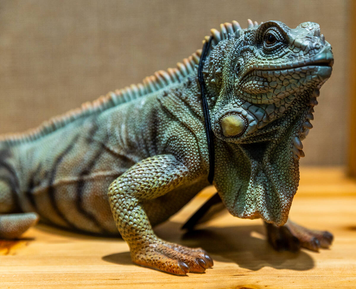 An iguana sculpture by Woobia is one of many animal items for sale during SUPERZOO at the Manda ...