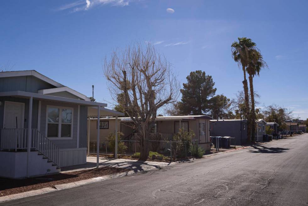 Amy Hanley poses for a portrait in Pueblo Del Sol mobile home park, where her niece, Zena Hanle ...