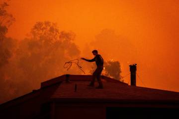 Sage Harvey tosses a rope off the roof of his house as a wildfire called the Plaskett Fire appr ...