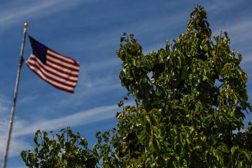 A 9/11 "survivor tree" stands outside Las Vegas Fire Station 5 on Aug. 20, 2026, in Las Vegas. ...