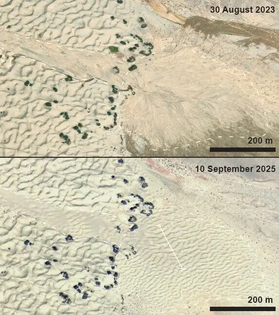Death Valley’s Mesquite Dunes partially wiped distant  aft  Hurricane Hilary successful  2023, and the ne ...